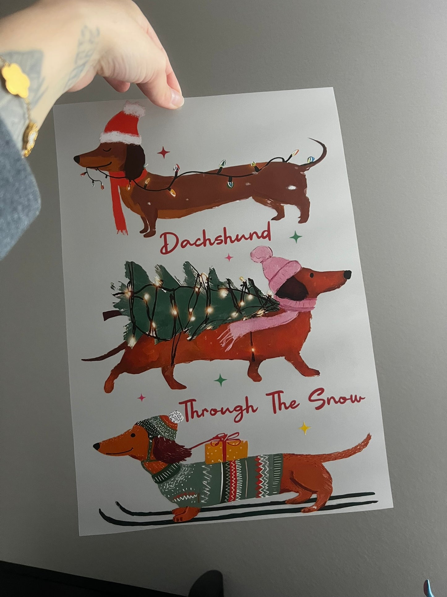 Dachshund through the snow