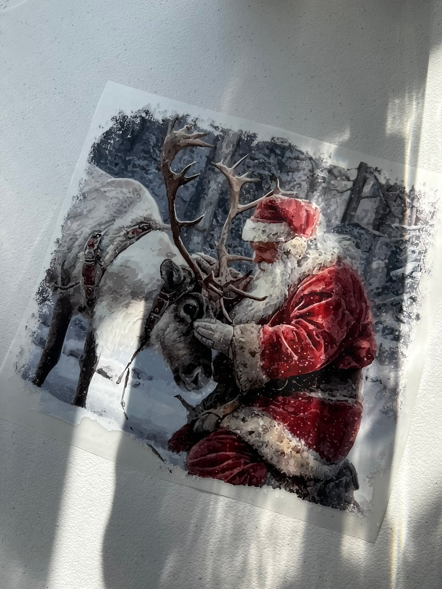 Santa & Reindeer