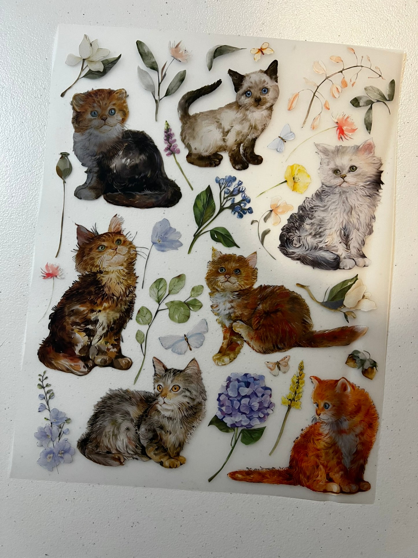 Floral Cute Cats