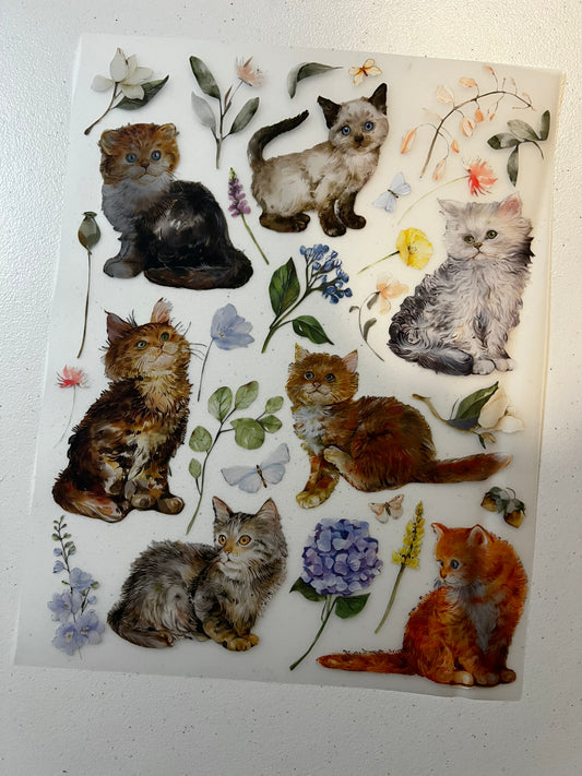 Floral Cute Cats
