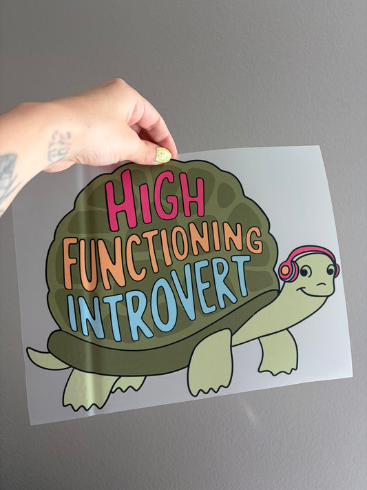 High Functioning Introvert