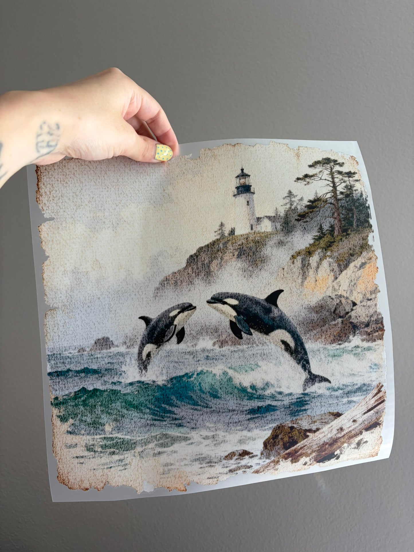 Orca