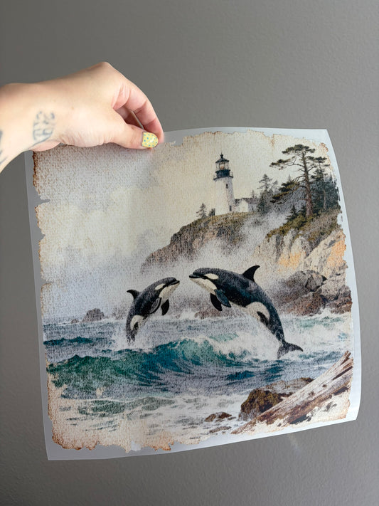 Orca