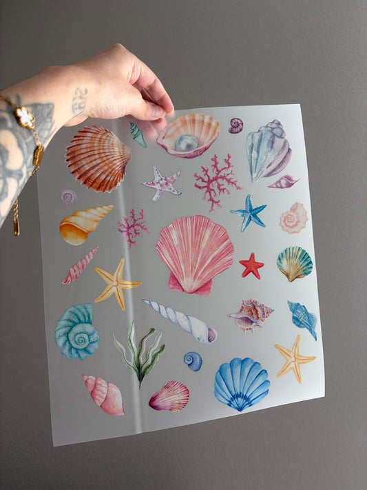 Seashells