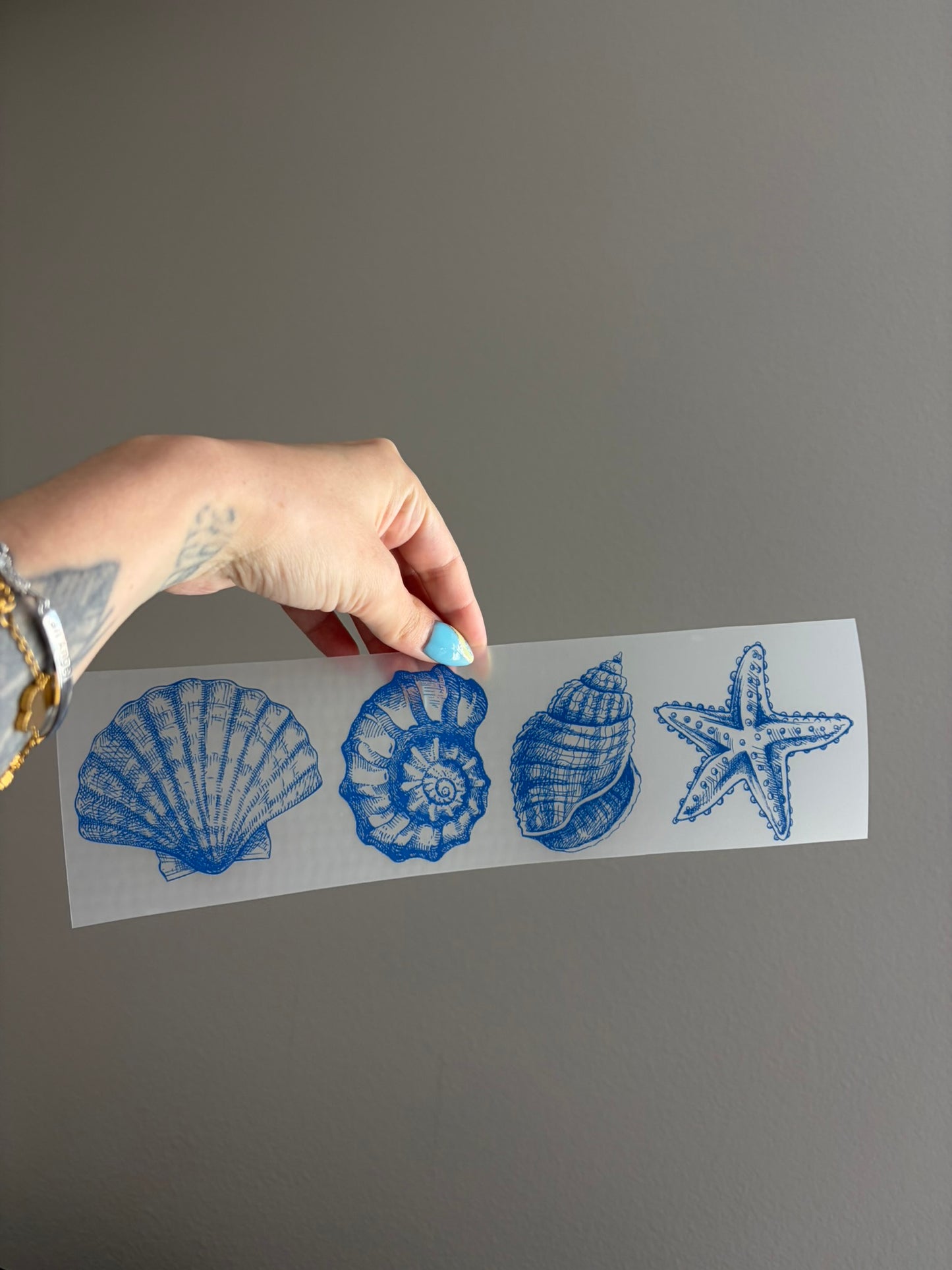 Blue Seashells