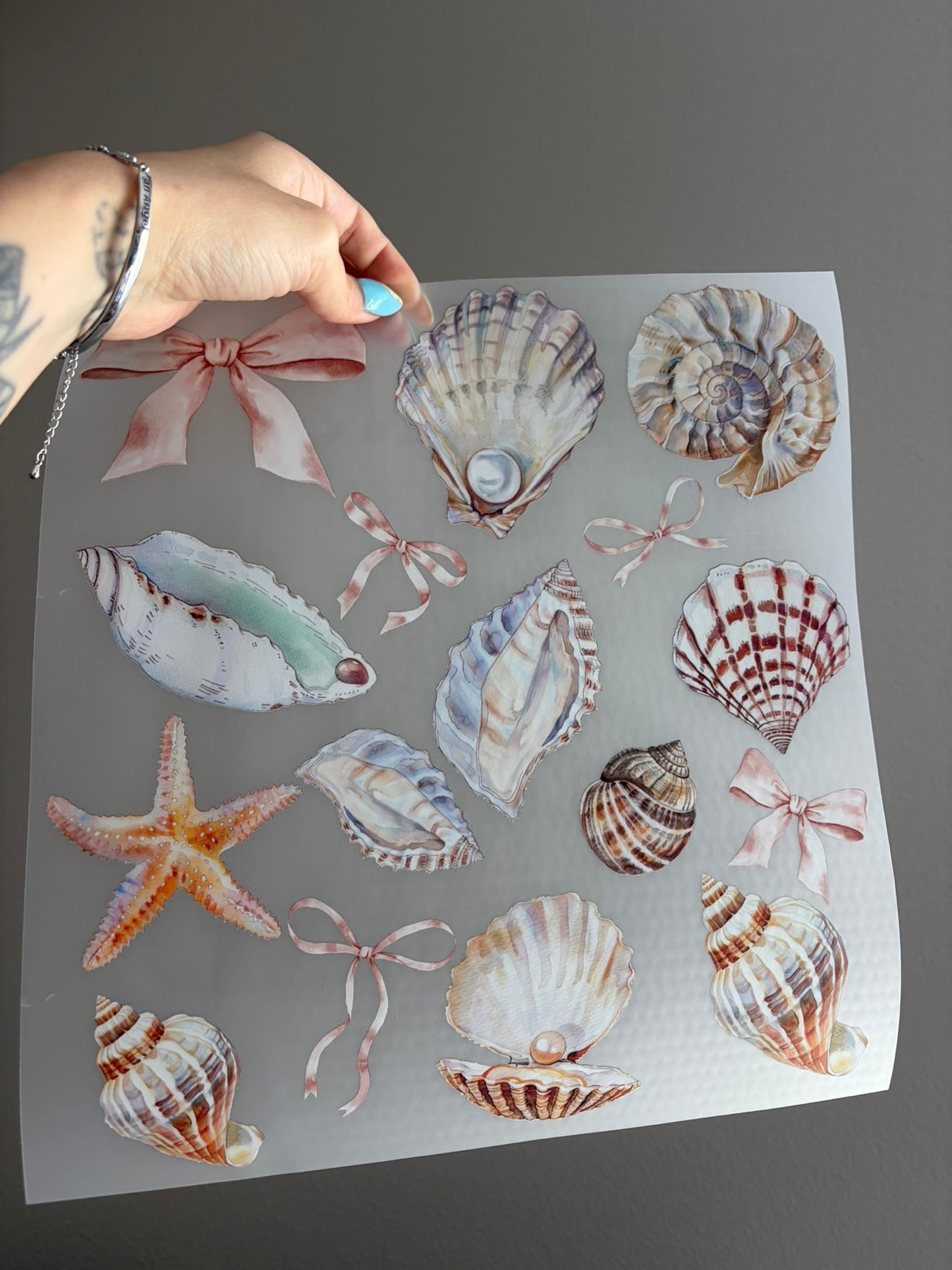 Seashells & Bows