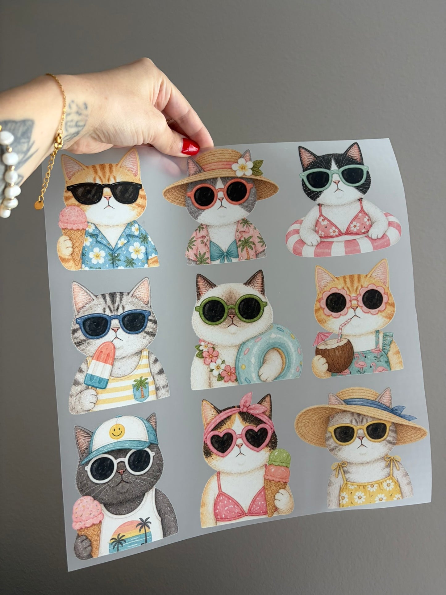 summer cats