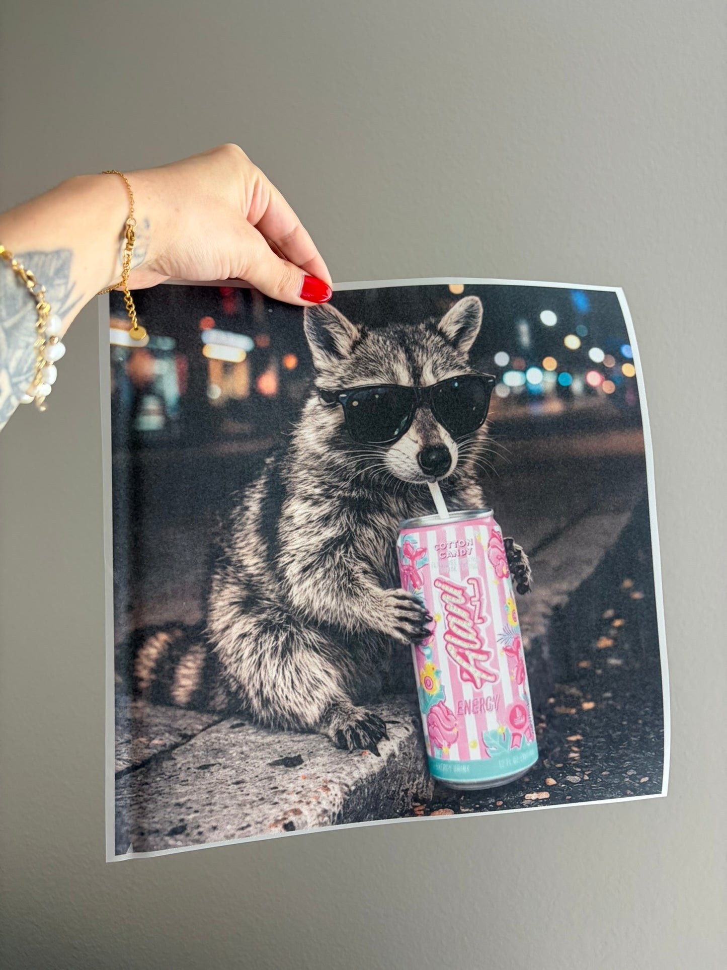 alani racoon