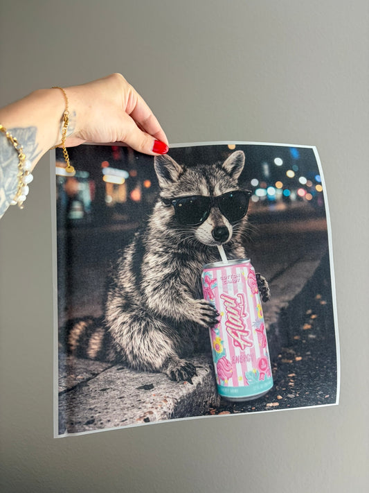 alani racoon