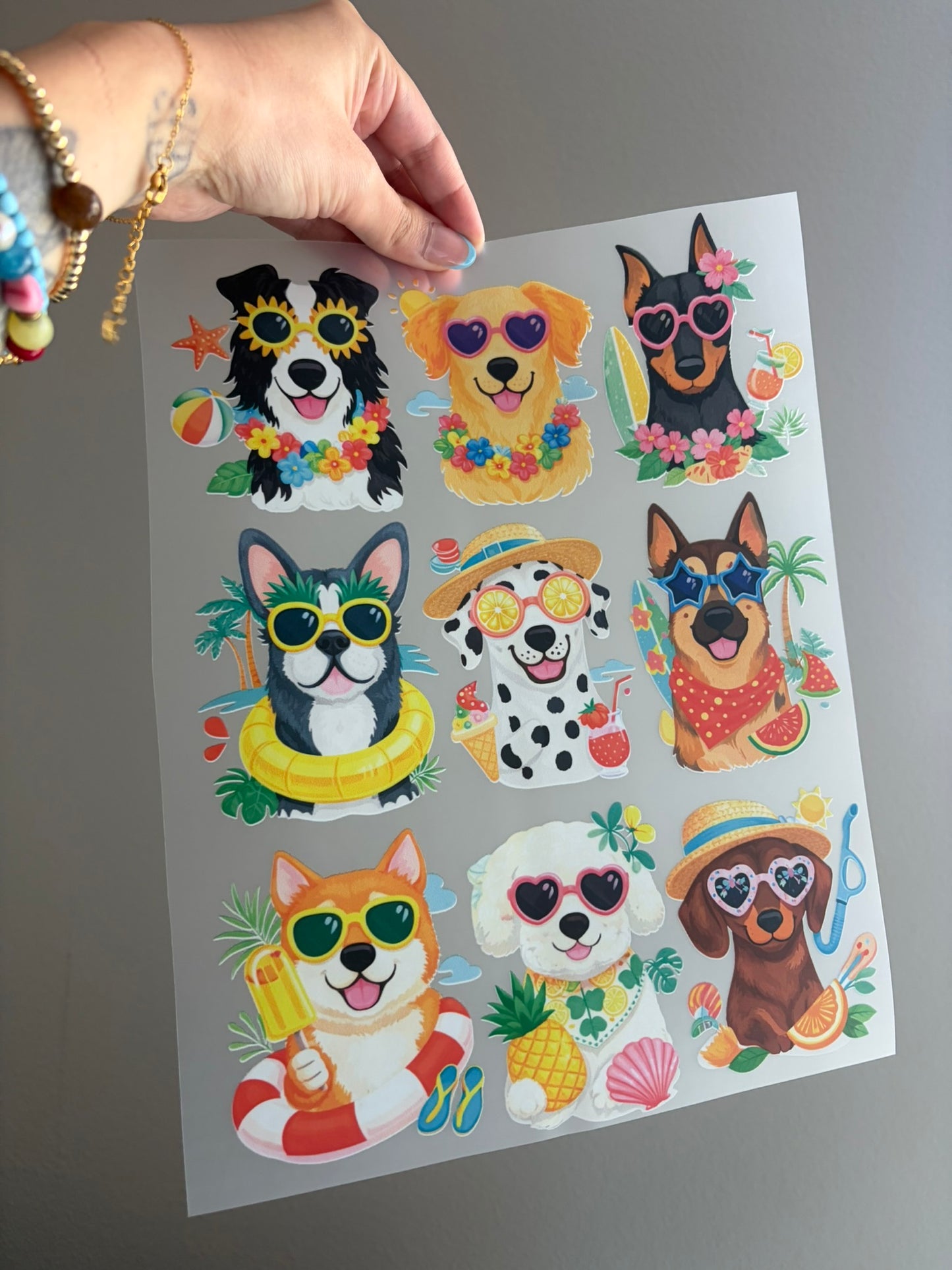 summer dogs