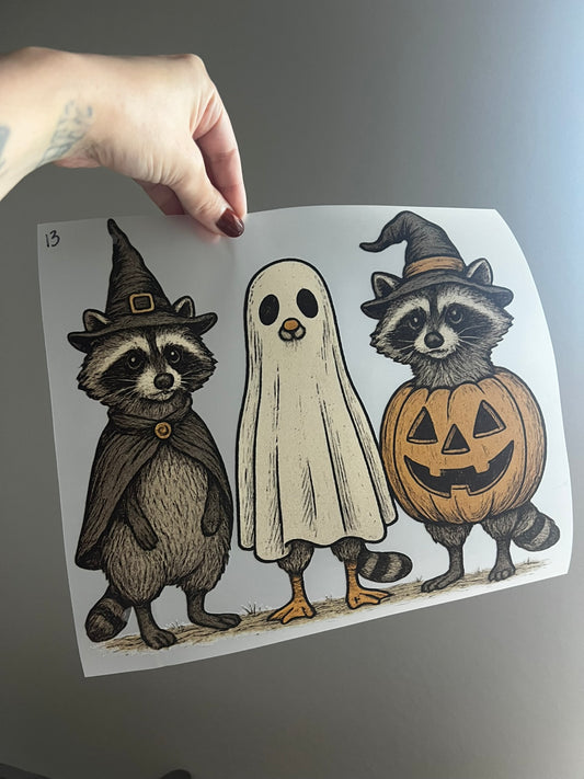 Halloween Racoons