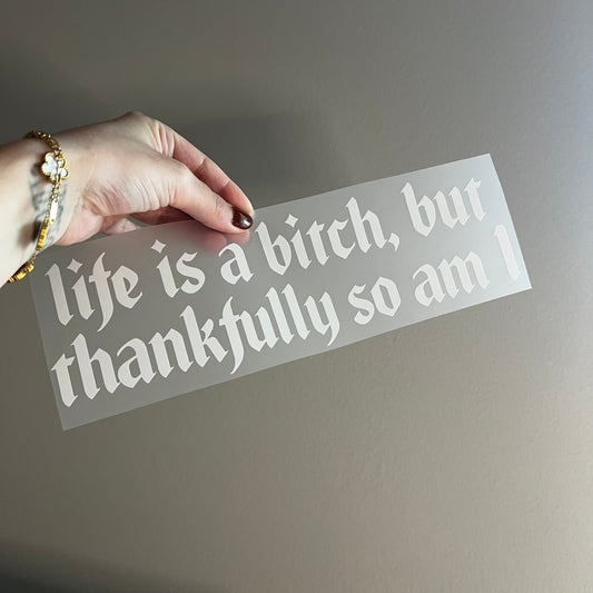Life is a bitch, but thankfully so am i