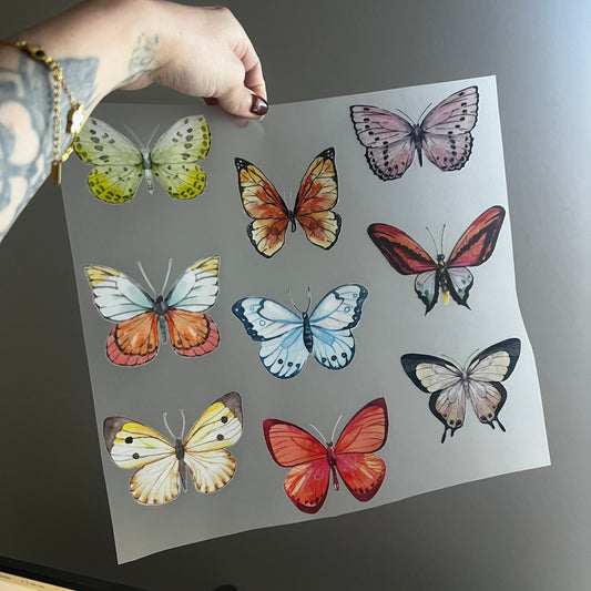 Colorful Butterflies