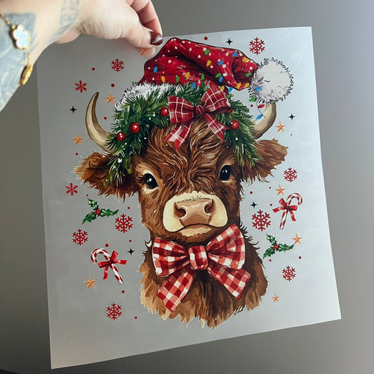 Highland Cow
