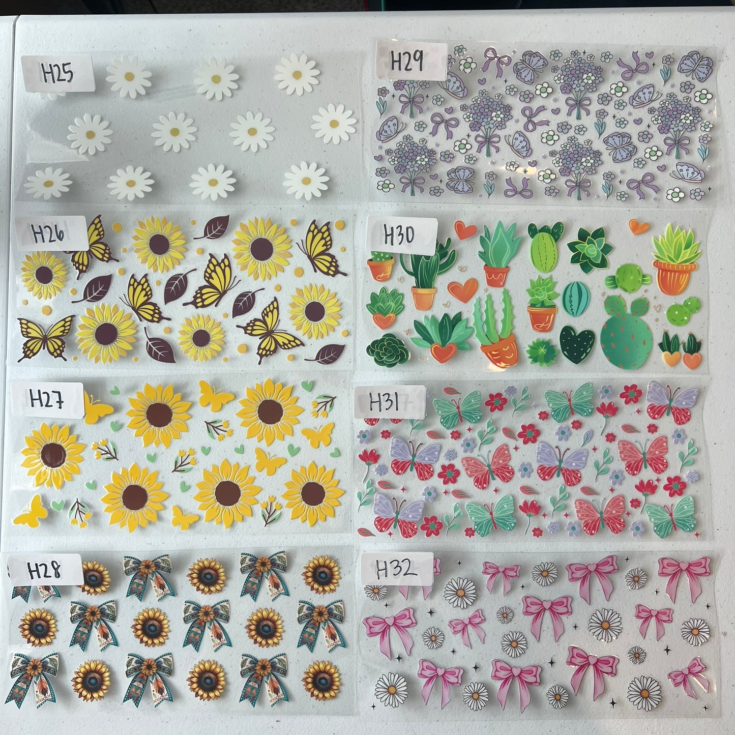 FLOWERS/PLANTS/MUSHROOMS/ETC